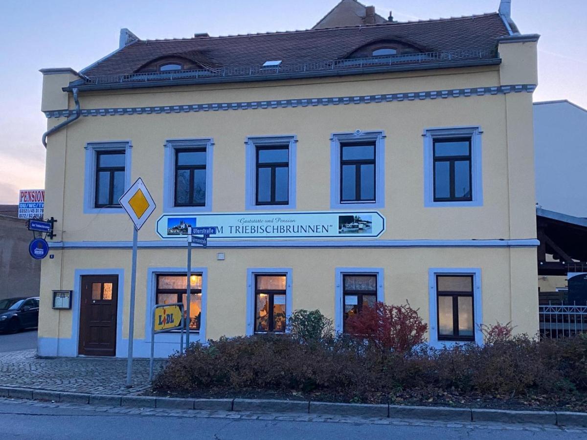 Meißen Fewo Am Triebischbrunnen מראה חיצוני תמונה